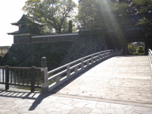 DVC00246