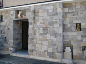 DVC00225