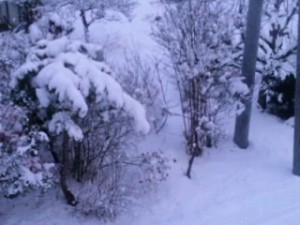 120127_1720