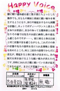 イメージ (9)
